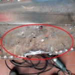 Deformierter Bereich Deformierter Bereich