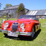 Jaguar XK150 - XD456C 5x16